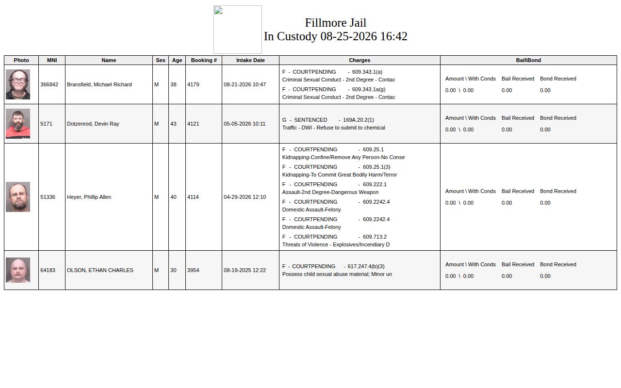 Fillmore County current-custody booking roster interface